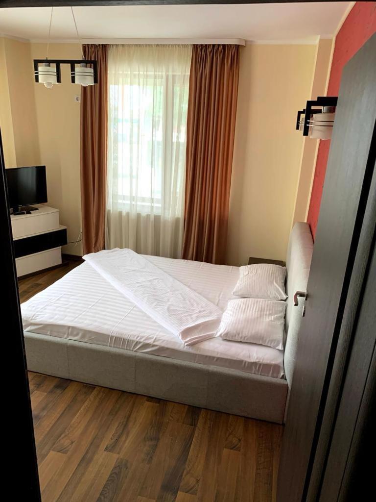 Arlequin Apartments Mamaia Exteriér fotografie